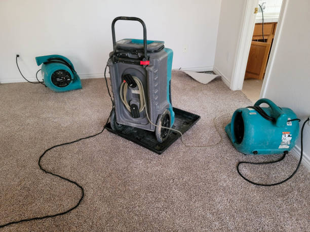  Ramblewood, NJ Water damage restoration Pros