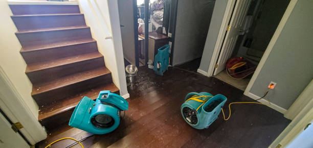 Best Water damage restoration experts  in Ramblewood, NJ