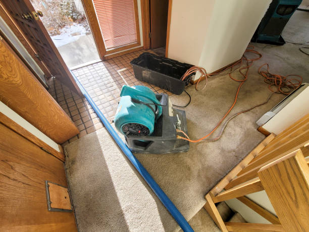 Best Water damage restoration company  in Ramblewood, NJ