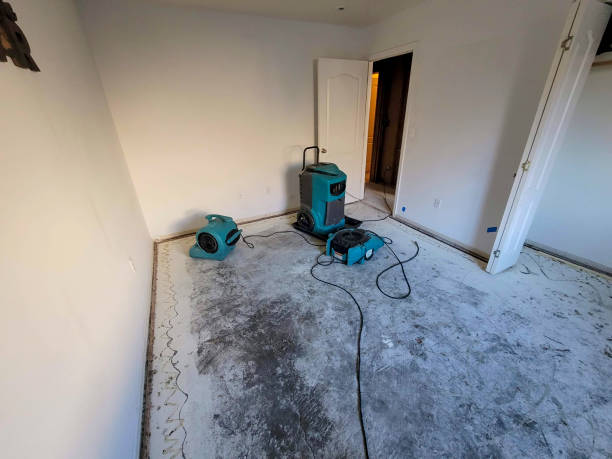Best Flood damage cleanup  in Ramblewood, NJ