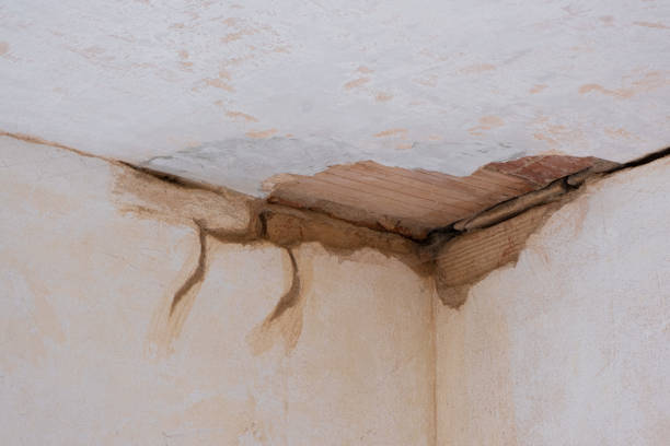 Best Commercial water damage restoration  in Ramblewood, NJ