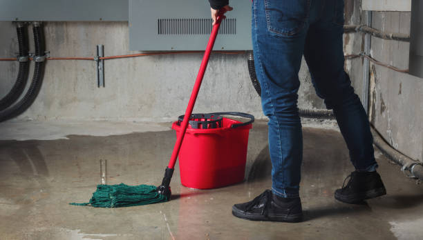 Best Water damage restoration near me  in Ramblewood, NJ