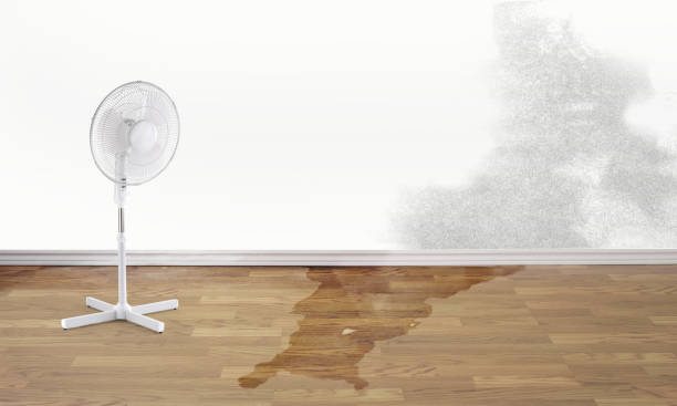 Best Water damage restoration near me  in Ramblewood, NJ