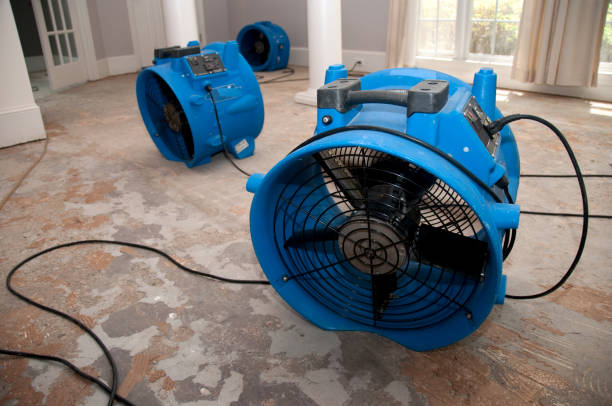 Best Flooded house restoration  in Ramblewood, NJ