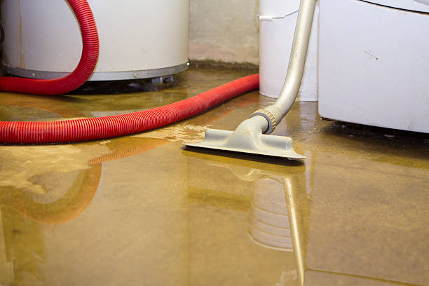 Best Basement water damage restoration  in Ramblewood, NJ