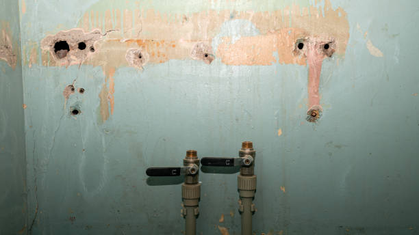 Best Residential water damage restoration  in Ramblewood, NJ