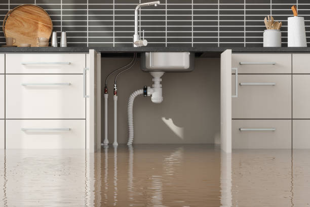 Best Flooded house restoration  in Ramblewood, NJ