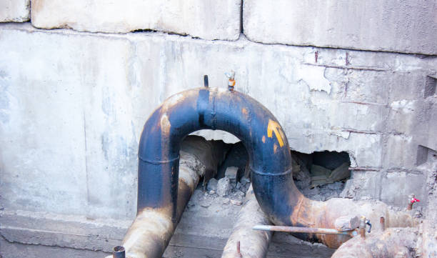 Best Flood restoration services  in Ramblewood, NJ