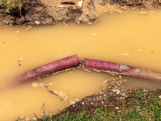 Sewage cleanup and water damage restoration in NJ