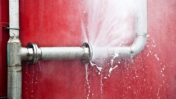 Best 24/7 water damage repair  in Ramblewood, NJ